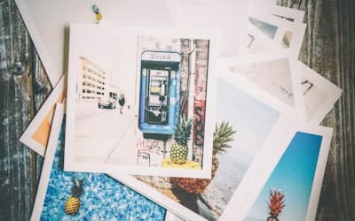 Photos of pineapple