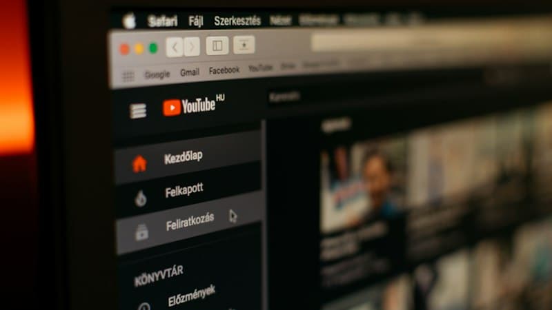 All social media platforms covered by universal video downloader